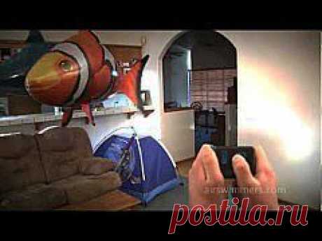 (+1) - Монахиня на &quot;Голосе Италии&quot; сразила жюри наповал. | ВИДЕОСМАК