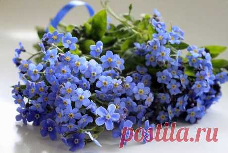 ᴼᴿᴵᴳᴵᴺᴬᴸ   SМАЙЛИКИ   (ړײ)