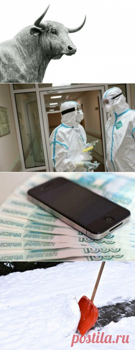 Ах, эти глазки! Встречаем Китайский новый год с «металлическими» быками из TikTok
В ночь на 12 февраля по китайскому лунному календарю официально наступил год металлического быка. От древнего праздника поднебесной в России, пожалуй, прижилась только традиция обозначать каждый год одним из 12 зодиакальных животных и цветом по системе пяти стихий. 2021 год – год металлического быка. Так что нужно обязательно взять быка за рога и отправится на […]
Читай дальше на сайте. Жми подробнее ➡