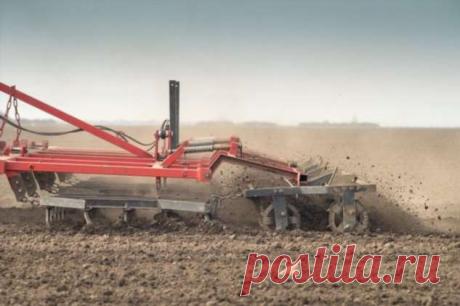 Какие зелёные удобрения лучше всего сеять весной | Краше Всех