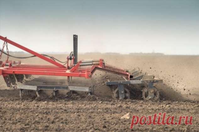 Какие зелёные удобрения лучше всего сеять весной | Краше Всех