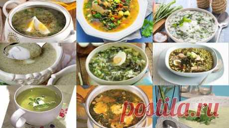 9 рецептов вкусных супов со щавелем А готовятся все зеленые супы быстро и просто.