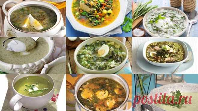 9 рецептов вкусных супов со щавелем А готовятся все зеленые супы быстро и просто.