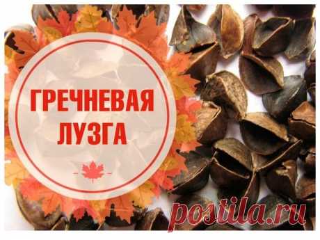 Гречневая лузга, как удобрение | Деревенские заметки | Яндекс Дзен