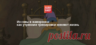 Из совы в жаворонка: как утренние тренировки меняют жизнь Совы встают в последний момент, чтобы впритык успеть на работу, и до обеда ходят угрюмые. Вечером сил ещё полно, но голова уже не работает. Мы знаем простой способ исправить это досадное недоразумение.