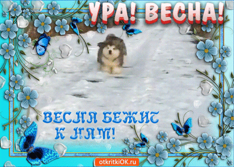 Открытка С Первым Днём Весны - Бесплатные Открытки на otkritkiok.ru