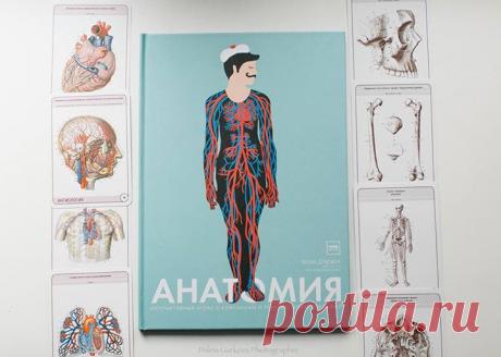 Фишки книги &quot;Анатомия&quot; ✔В увлекательной форме рассказывает о человеческом теле ✔Познавательный контент и подробные иллюстрации ✔Показывает, как и почему работают разные системы организма ✔Клапаны и вырезанные лазером страницы интересно рассматривать ✔Подарочный формат Полистать книгу поближе, уточнить стоимость и оформить заказ можно по ссылке