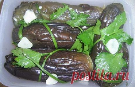 Баклажаны под прессом — Дачный участок