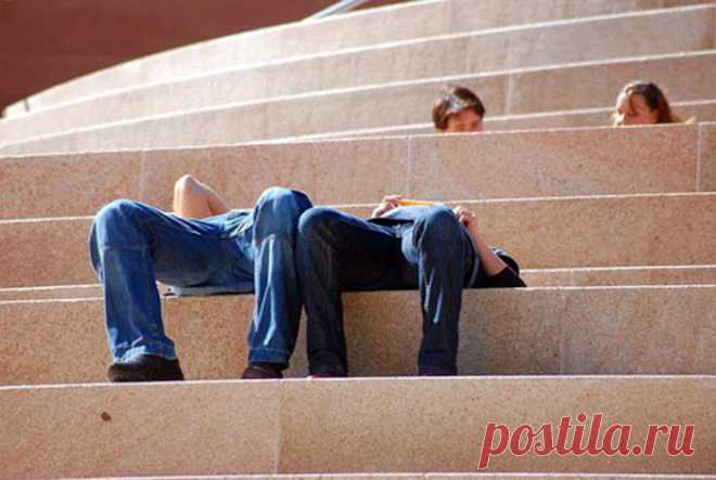 Правильный ракурс и момент: 17 случайных снимков, которые заставят посмеяться от души