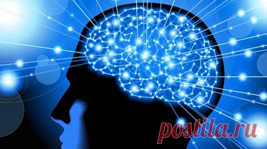 Что говорит нейронаука о свободе воли - EIKids