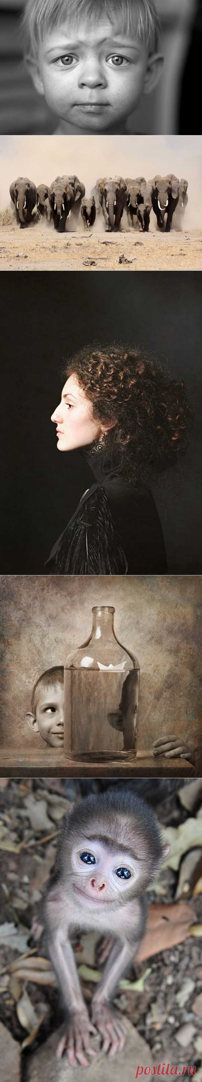 Победители AdMe Photo Awards 2013 | Fresher - Лучшее из Рунета за день