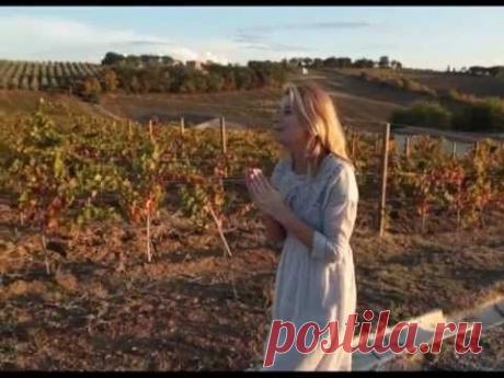 Кулинарные Курсы Юлии Высоцкой