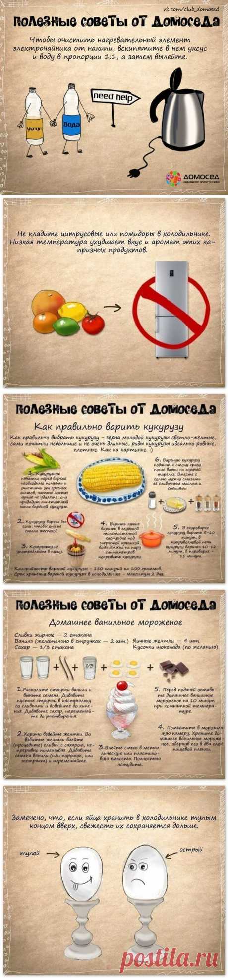 Развлечения каждый день - Полезные советы...