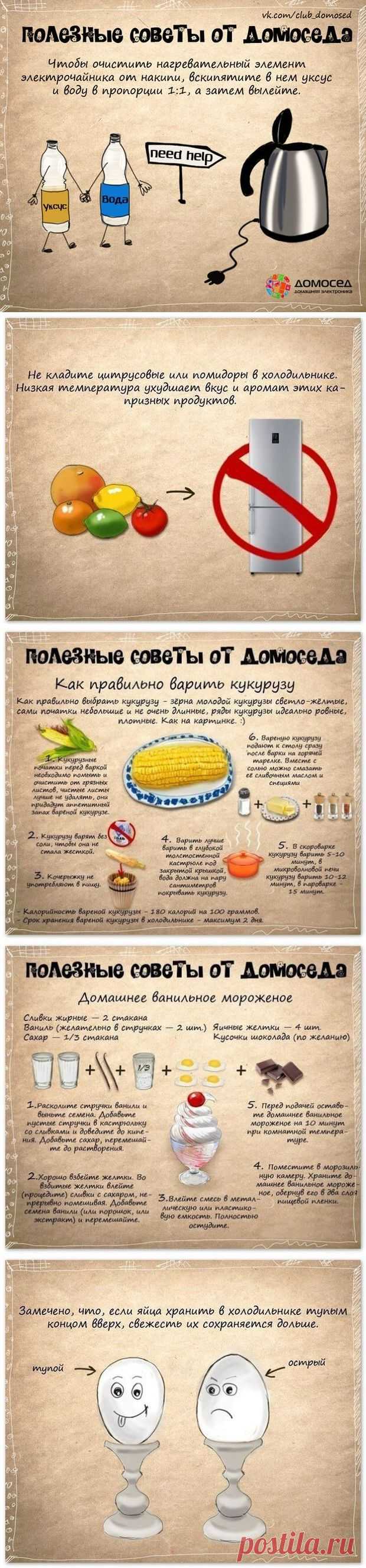 Развлечения каждый день - Полезные советы...