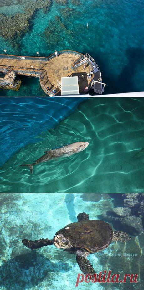 Москва - Эйлат &amp;raquo;