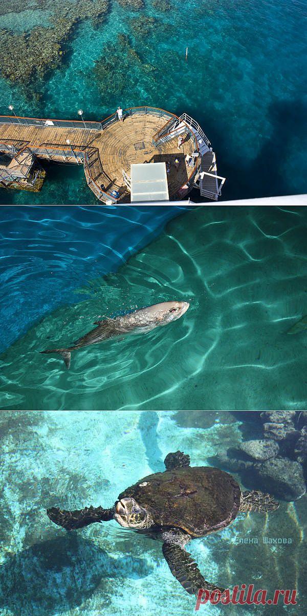 Москва - Эйлат &raquo;