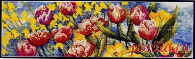 Parterre de tulipes.