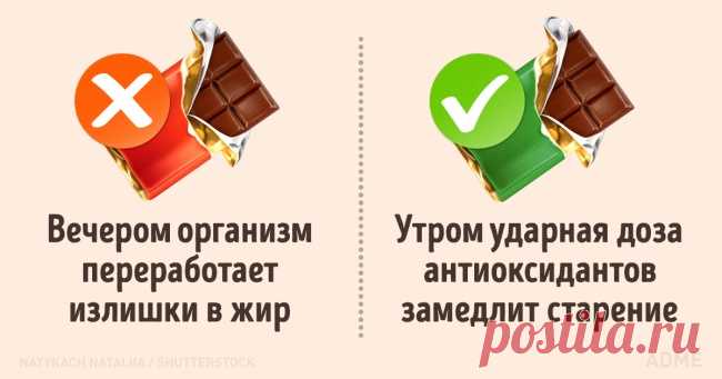 В какое время дня лучше есть те или иные продукты