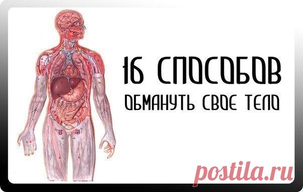 16 СПОСОБОВ ОБМАНУТЬ СВОЕ ТЕЛО