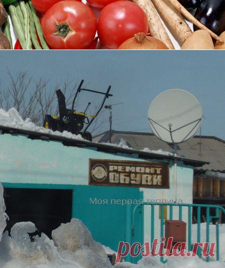 Оригинальный способ придумал сосед.