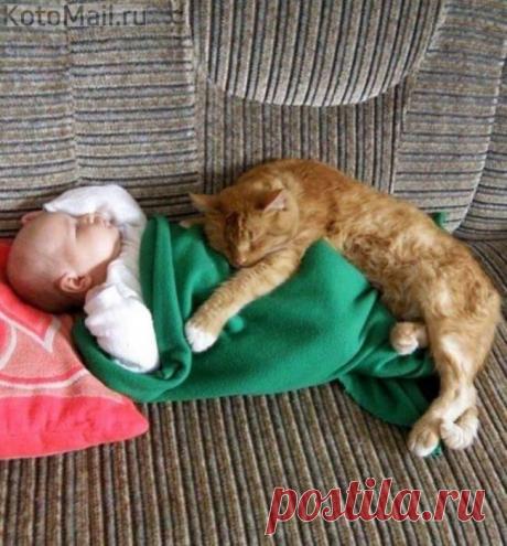 Надежная нянька | KotoMail.ru