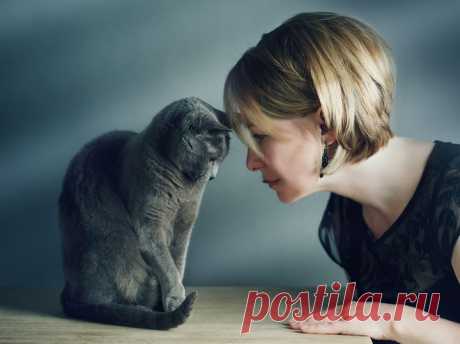 Язык жестов: как понять кошек - Леди Mail.Ru