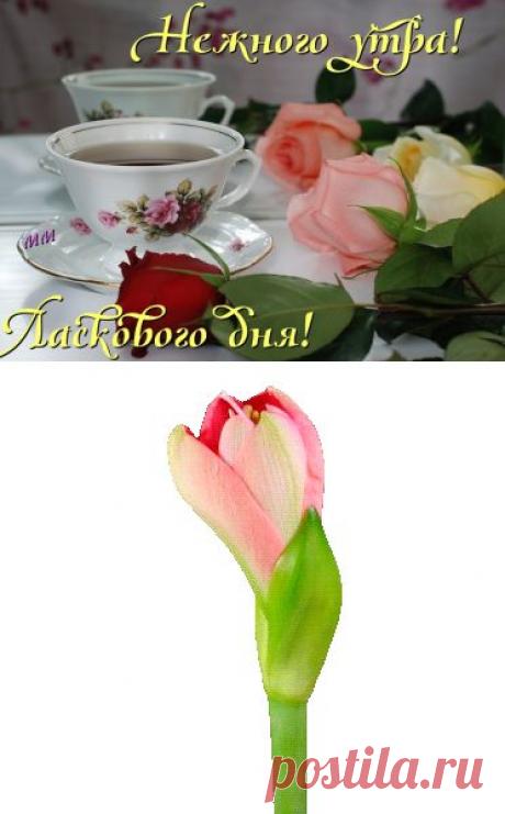 Плейкаст «ДОБРОЕ УТРО!ПРИГЛАШАЮ НА ЧАЙ!»