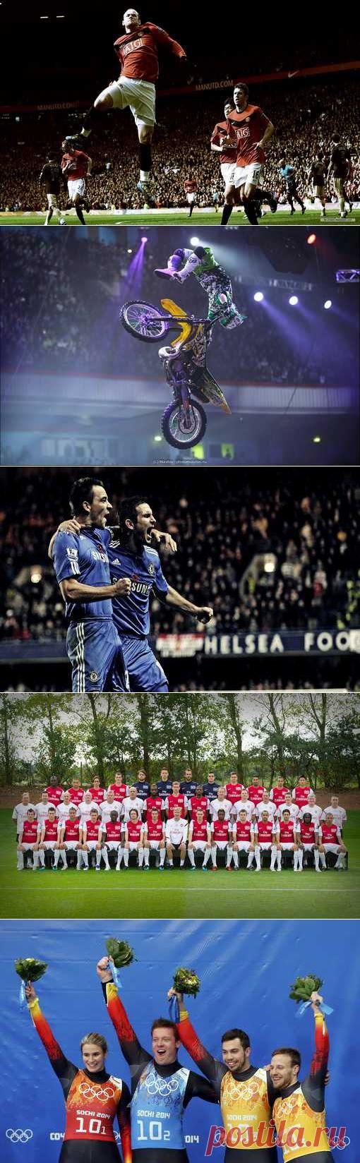 Бокс французский, Киберспорт, Легкая атлетика, Акватлон. (1/1) - Спортивный форум. - Спортивный сайт