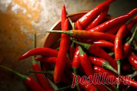 Жгучий красный перец