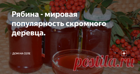 Рябина - мировая популярность скромного деревца. Поистине мировую славу имеет это скромное, но красивое растение рябина. Много мифов и легенд сложенные об этом небольшом дереве у разных народов мира...