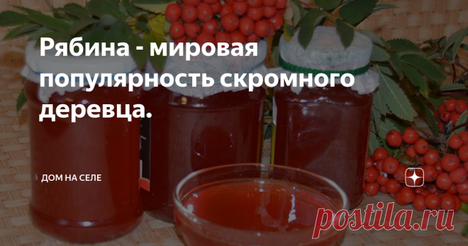 Рябина - мировая популярность скромного деревца. Поистине мировую славу имеет это скромное, но красивое растение рябина. Много мифов и легенд сложенные об этом небольшом дереве у разных народов мира...