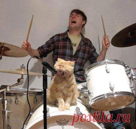 Мой Мир@Mail.Ru