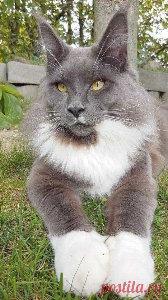glamgirl