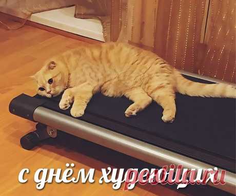 Всем худеющим сегодня
Мои поздравления!
Силы духа вам огромной,
Большого терпения!