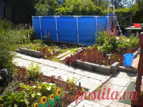 Изюминки  нашего сада.
Татьяна Васильева/Третьякова