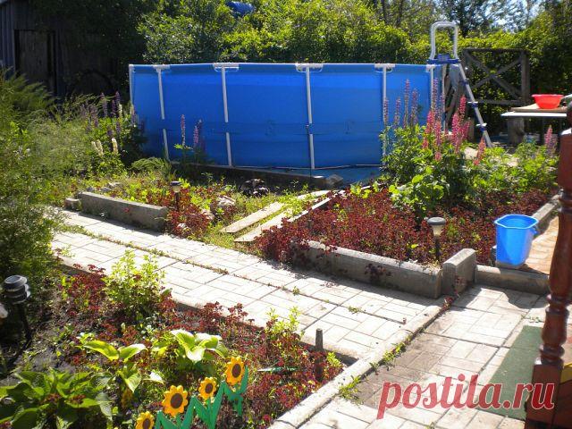 Изюминки  нашего сада.
Татьяна Васильева/Третьякова