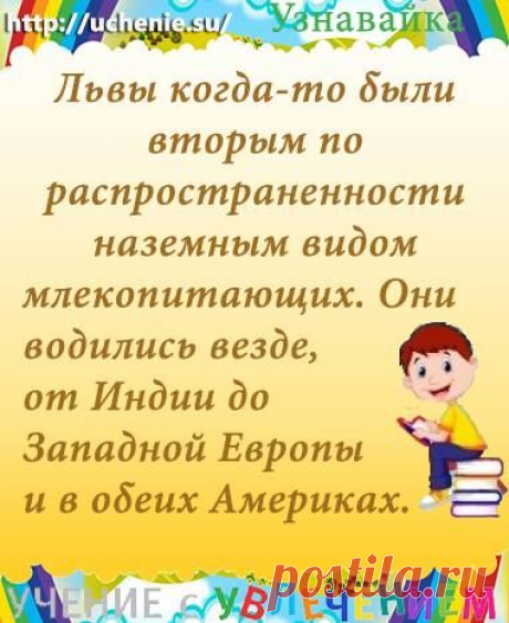 Детская мастерская "Учение с увлечением"