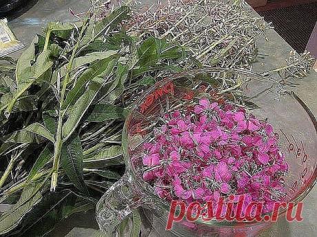 (99) Одноклассники