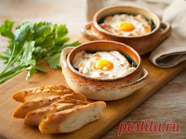 Рецепты Винченцо Барба. Завтрак из яиц | За здоровый образ жизни!За здоровый образ жизни!