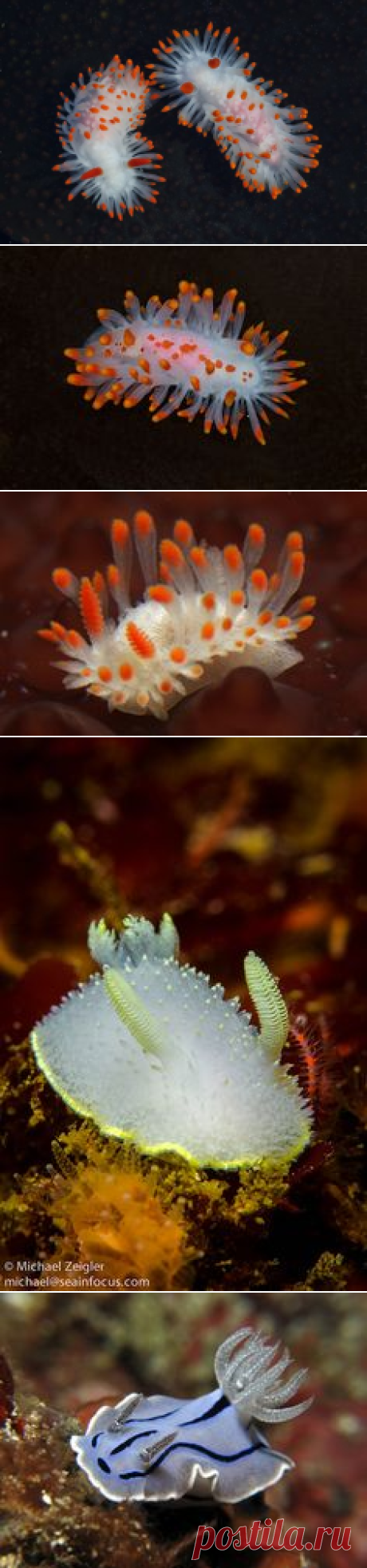 Фотографии on Pinterest