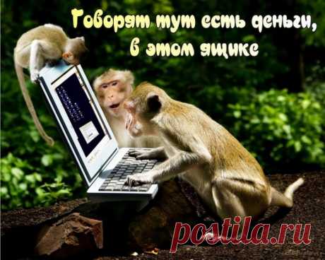 LiderPiara и Youtuber — накрутка подписчиков и лайков в Ютубе и ВК, отзывы