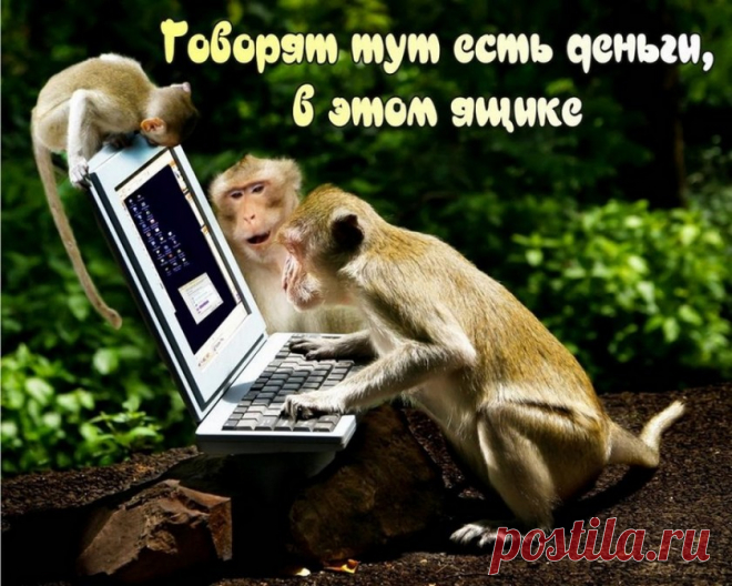 LiderPiara и Youtuber — накрутка подписчиков и лайков в Ютубе и ВК, отзывы