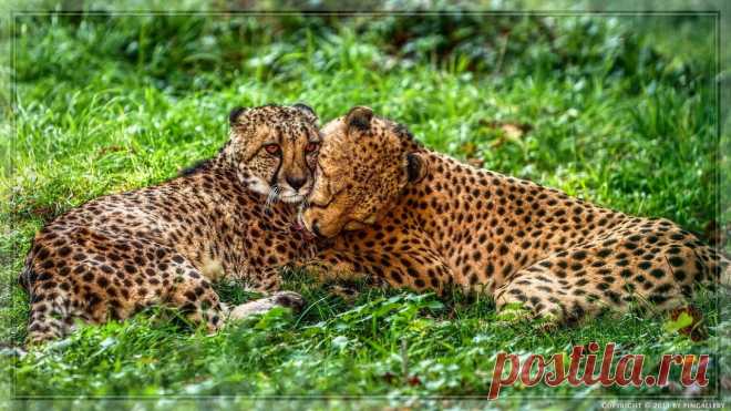 Мой Мир@Mail.Ru