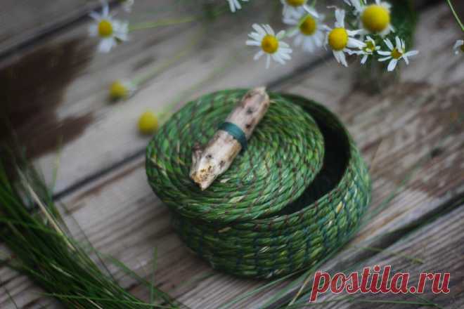 Очень просто и необычно! Делаем красоту из обычной травы💚 | Живые вещи | Яндекс Дзен