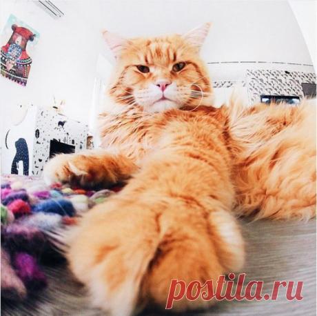 ✔ Полезные фразы для повседневного общения / Изучение немецкого языка