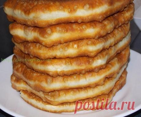 Плацинды-с творогом и зеленью из тончайшего теста