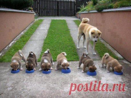 Интересные новости