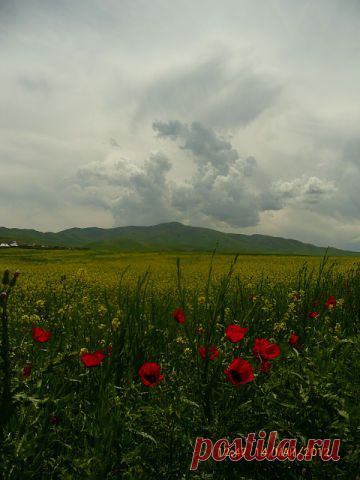 Гафур Шерматов
54 года, Таджикистан, Душанбе