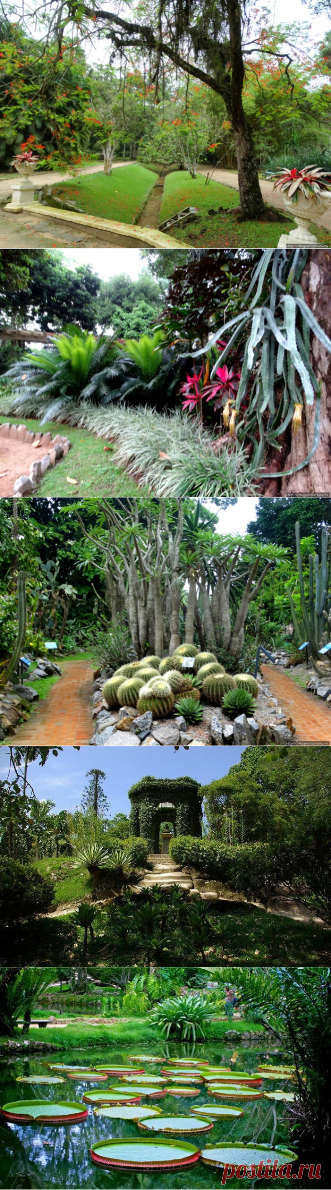 Ботанический сад в Рио-де-Жанейро