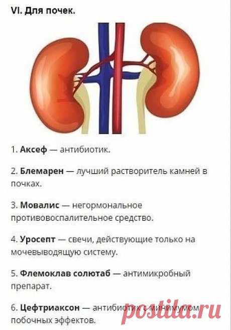 ✔️Секреты долголетия. О чем молчат врачи! — Разное | OK.RU